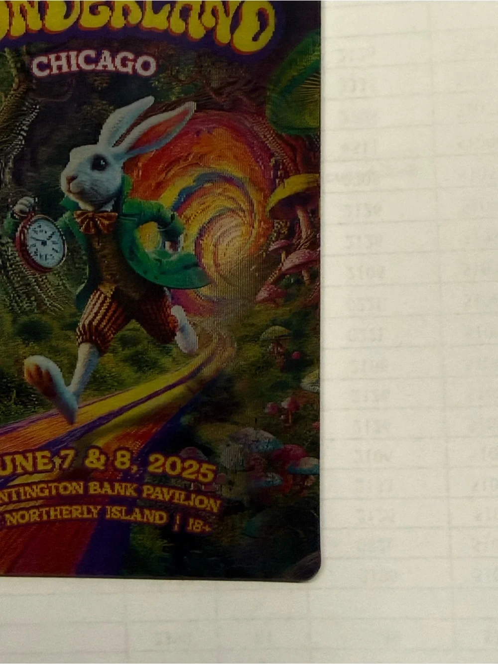 Beyond Wonderland Collectible Magnet 2025 Chicago Insomniac Northerly Island